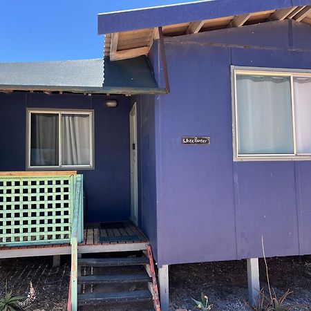 Shark Bay Cottages Denham Dış mekan fotoğraf