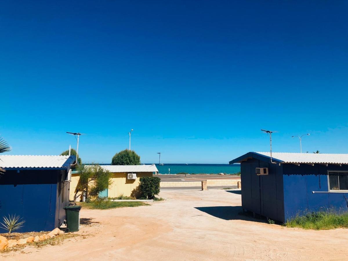 Shark Bay Cottages Denham Dış mekan fotoğraf