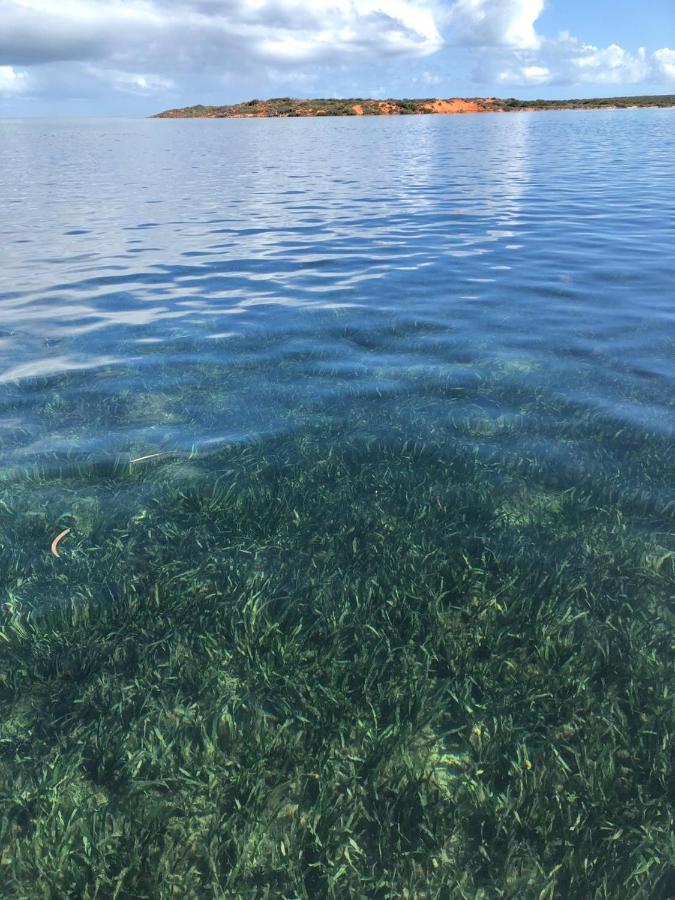 Shark Bay Cottages Denham Dış mekan fotoğraf