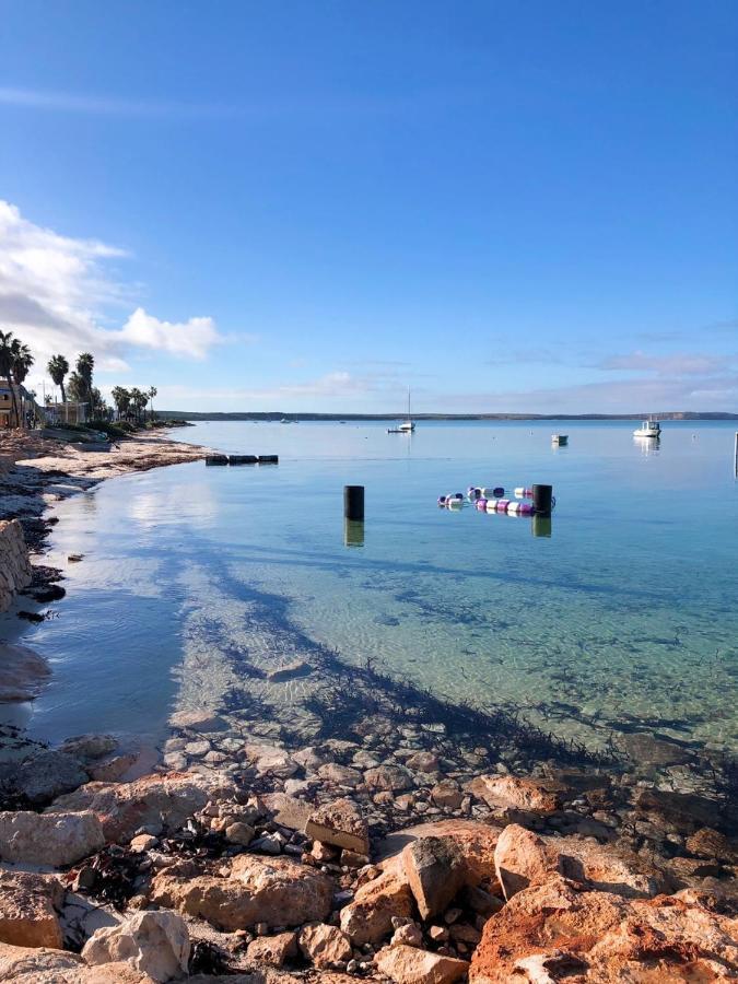 Shark Bay Cottages Denham Dış mekan fotoğraf