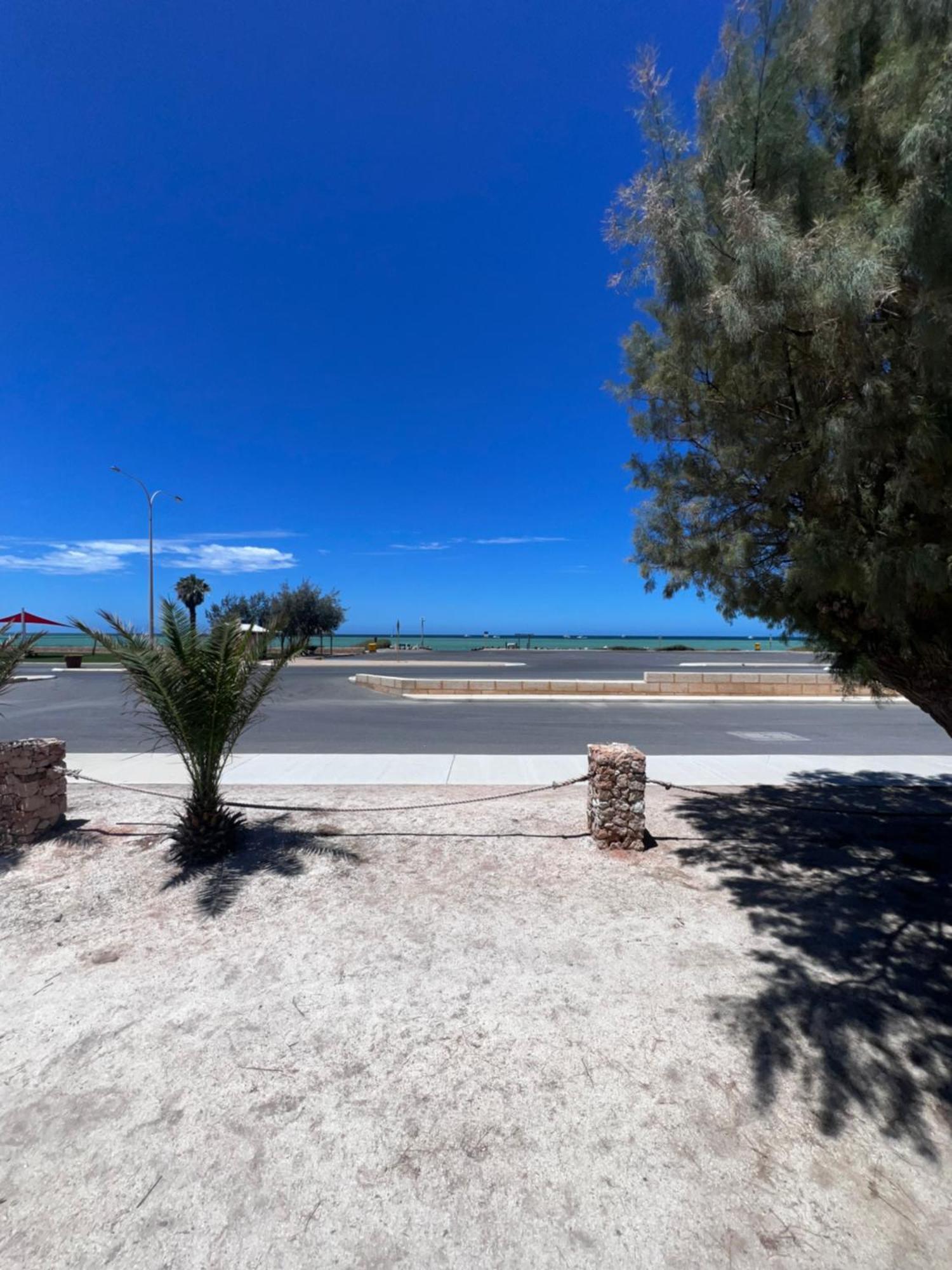 Shark Bay Cottages Denham Dış mekan fotoğraf