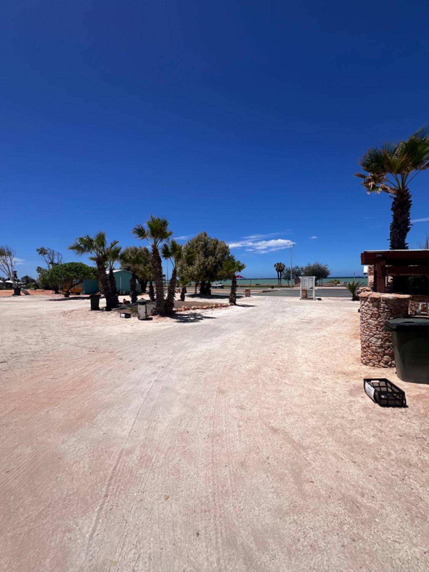 Shark Bay Cottages Denham Dış mekan fotoğraf