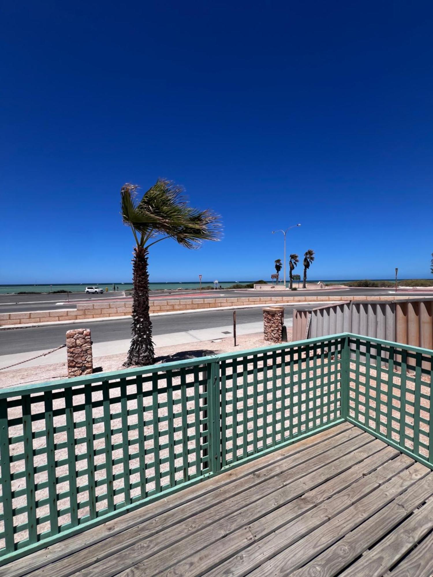 Shark Bay Cottages Denham Dış mekan fotoğraf